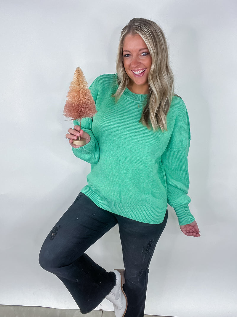 Jade Oversized Basic Solid Sweater Knit Top